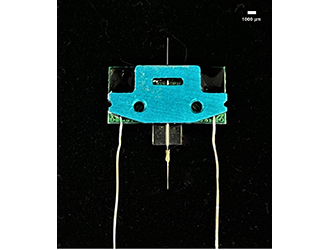 Neuralthread 32 channel depth electrode array